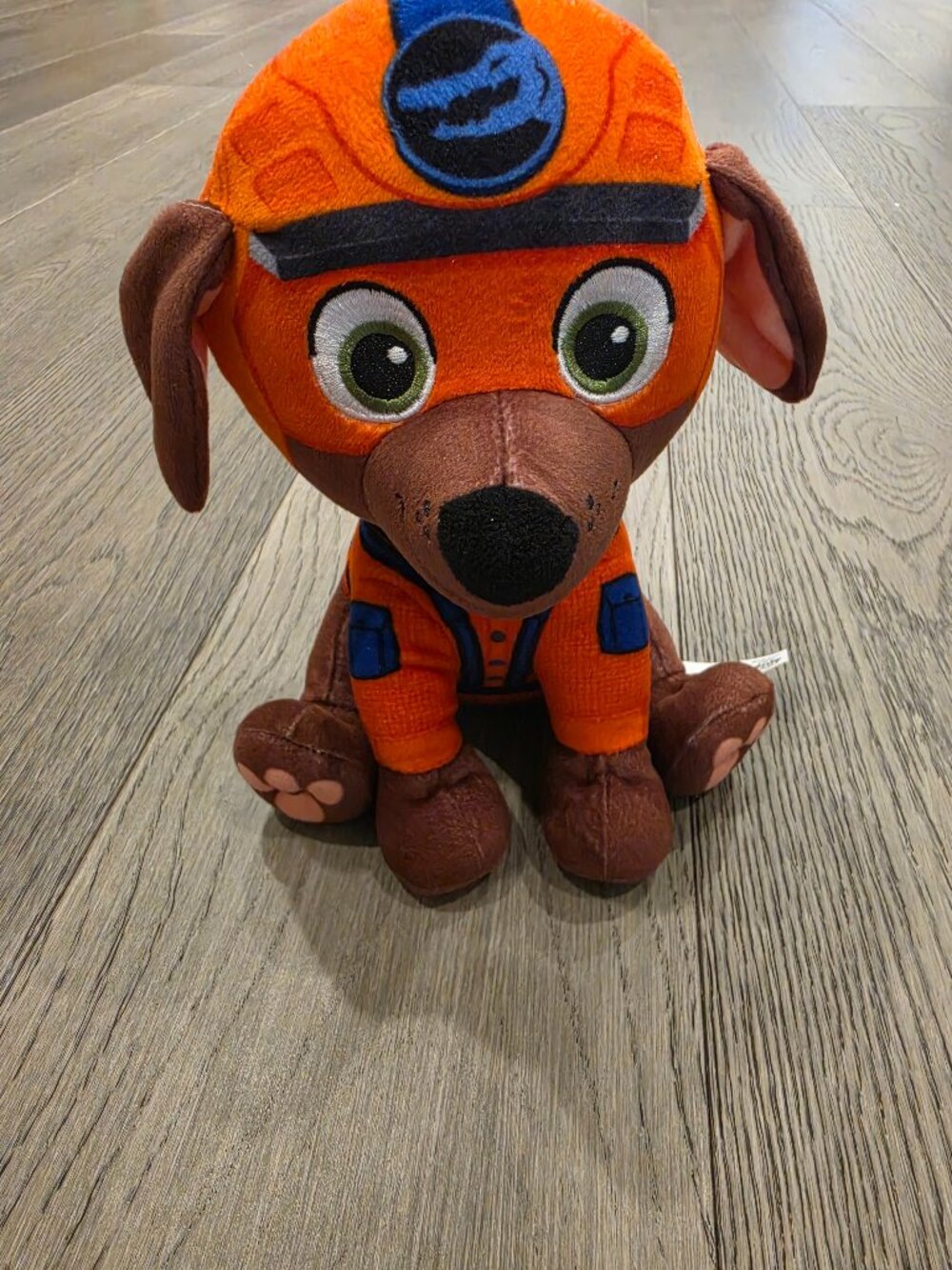 Paw patrol